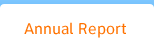 ANNUAL REPORT