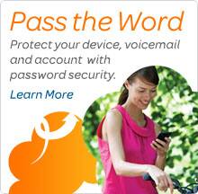 Mobile password security