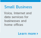 Small Business. Voice, Internet and data services for businesses and home offices. Learn more.
