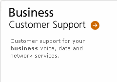 Business Customer Support for your business voice, data, and network services