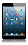Details for Apple® iPad® mini with Wi-Fi + Cellular 16GB (Refurbished)