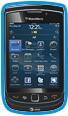 Blackberry Torch