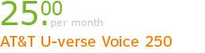 AT&T U-verse Voice 250