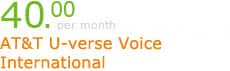 AT&T U-verse Voice International