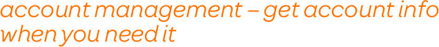 Account Management - get account info when you need it