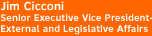 Jim Cicconi, Senior Executive Vice President-External and Legislative Affairs