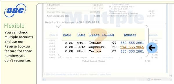 Enlargement of unknown phone numbers from sample bill.