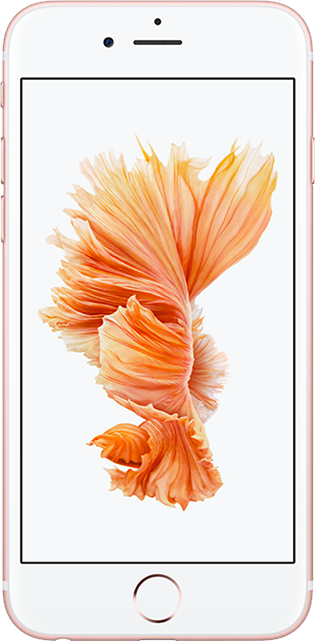 buy iphone 6 rose gold