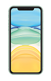 Apple iPhone 11 - 256GB - Green