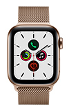 Apple Watch Series 5 40mm - Gold Stainless - Gold Milanese