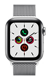 Apple Watch Series 5 40mm - Silver Stainless - Stainless Milanese