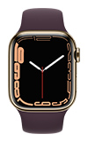 Apple Watch Series 7 - 41mm - Gold Stainless Dark Cherry Sport