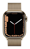 Apple Watch Series 7 - 41mm - Gold Stainless Gold Milanese