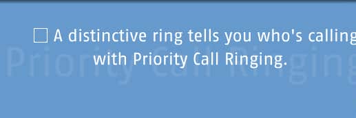 A distinctive ring tells you who's calling with Priority Call Ringing.