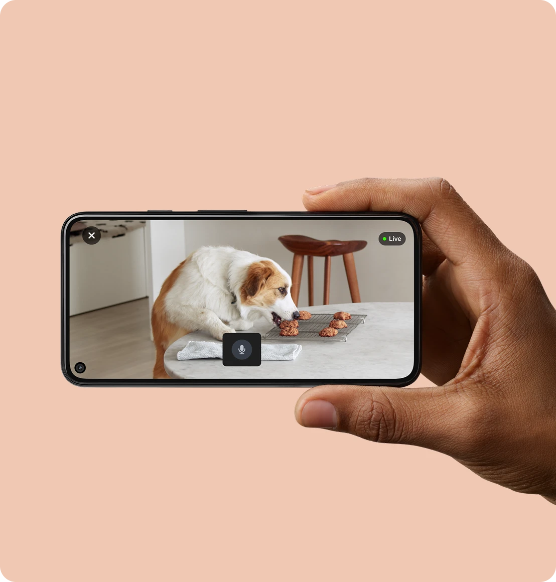 nest-cam-wired-usage@2x