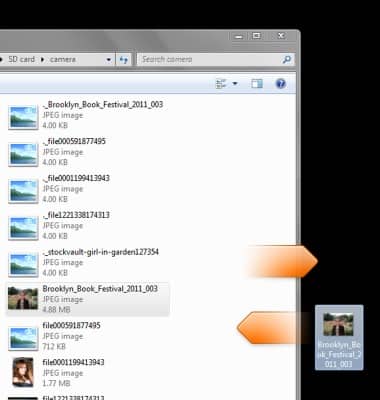 device 2477/1212532.jpg