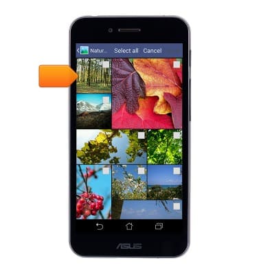 device 2477/1216258.jpg