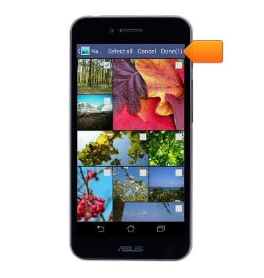 device 2477/1216259.jpg