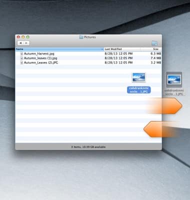 device 2563/1247329.jpg