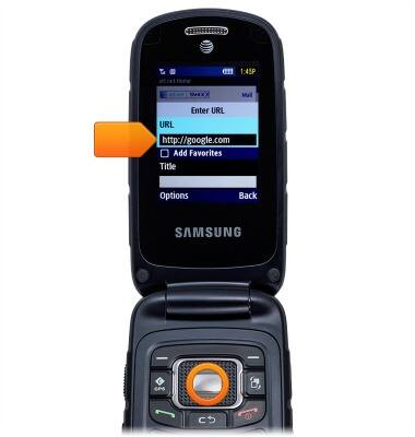 device 2663/1001114727.jpg