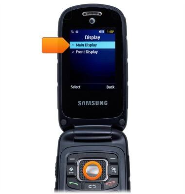 device 2663/1001115795.jpg