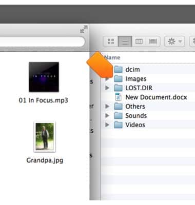 device 2663/1001350607.jpg