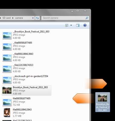 device 2684/1320483.jpg