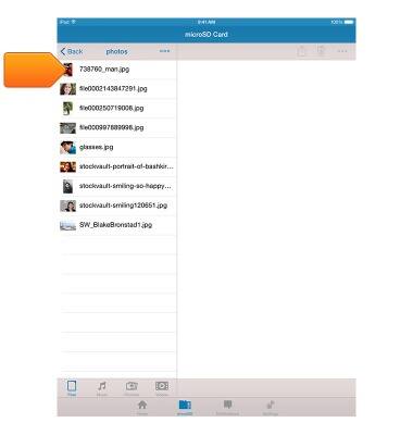 device 2917/1505169.jpg