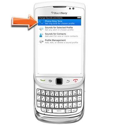 BlackBerry Torch 4G 9810 - Change ringtone - AT&T
