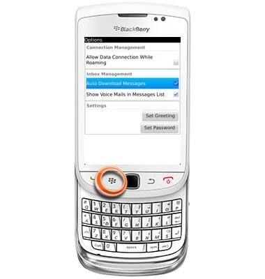 BlackBerry Torch 4G 9810 - Visual Voicemail - AT&T
