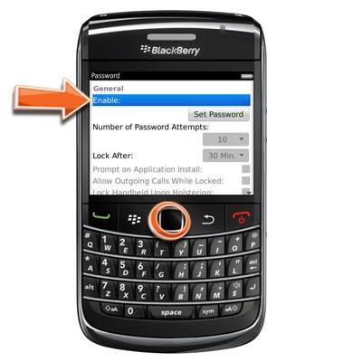 BlackBerry Bold 9700 v6.0 - Password security - AT&T