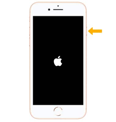 Apple iPhone 8 / 8 Plus - Device Layout - AT&T