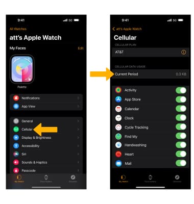 Apple Watch Ultra - View & Manage Data - AT&T