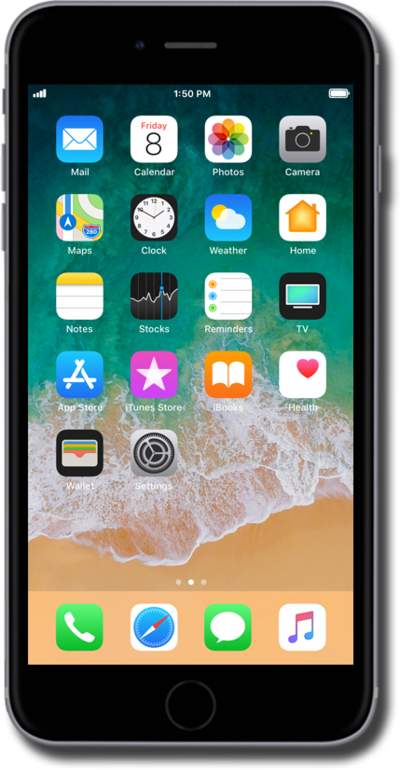 iPhone 6