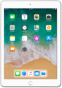 iPad mini 3