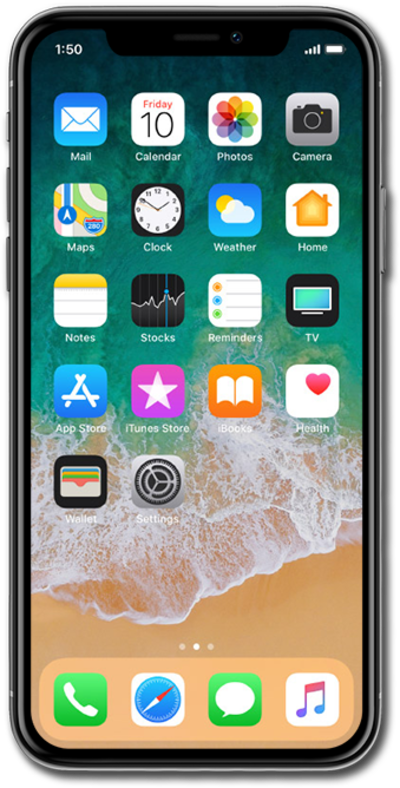 iPhone X