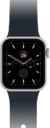 Watch SE (1st Generation)