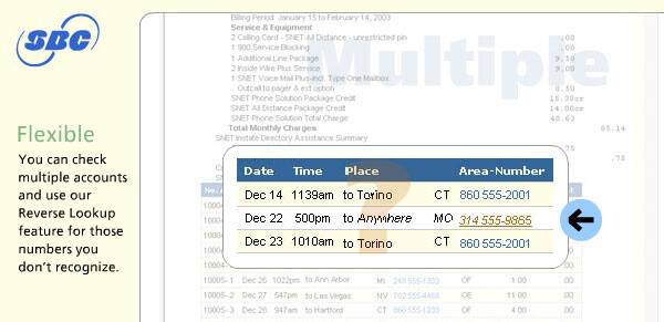 Enlargement of unknown phone numbers from sample bill.