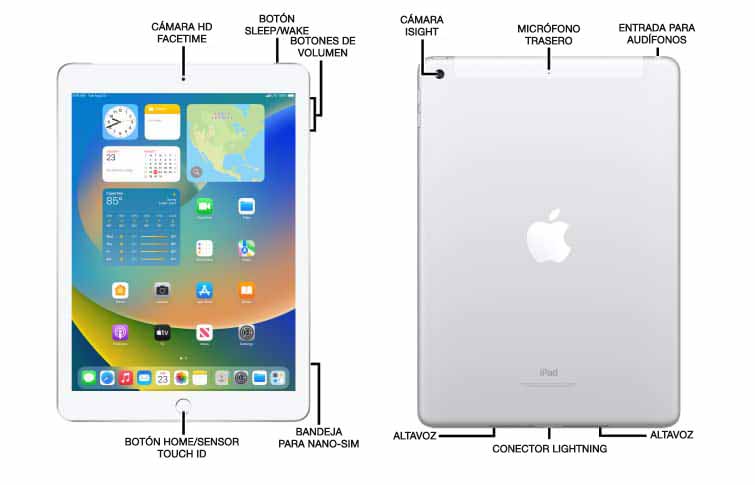 Diagrama del dispositivo