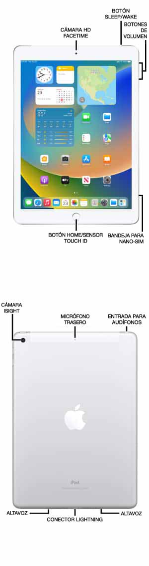 Diagrama del dispositivo
