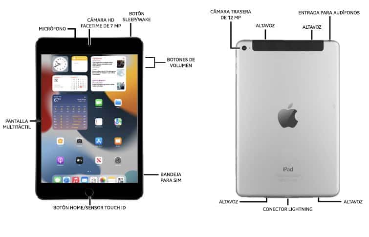 Diagrama del dispositivo