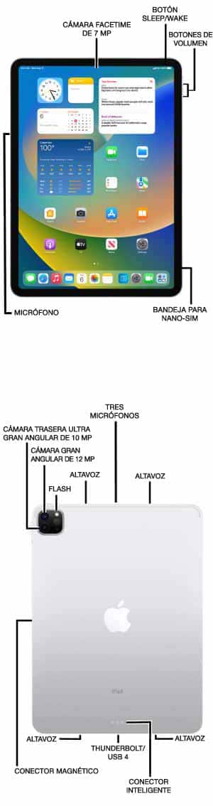 Diagrama del dispositivo