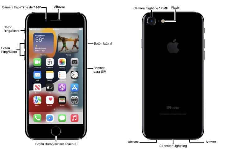 Diagrama del dispositivo