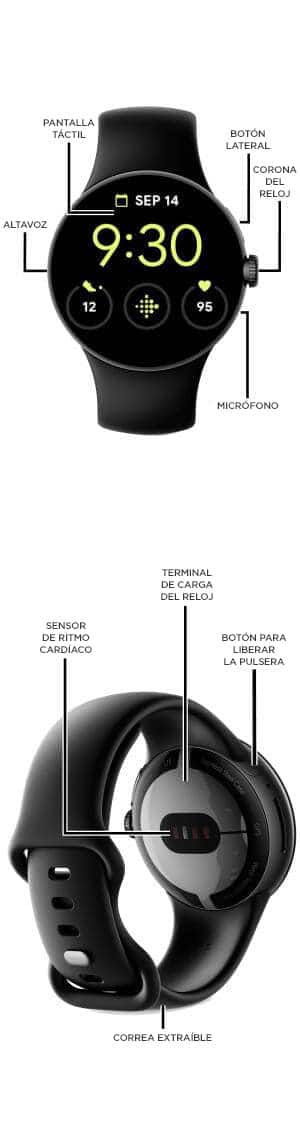 Diagrama del dispositivo