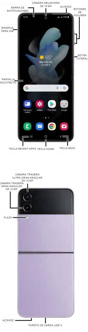 Diagrama del dispositivo