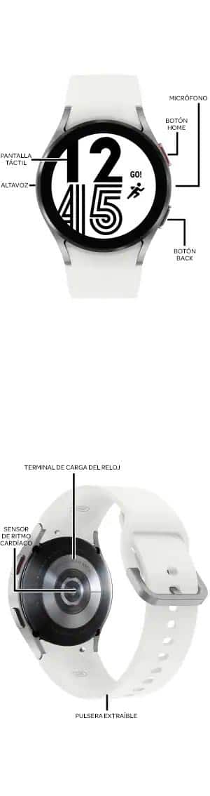 Diagrama del dispositivo