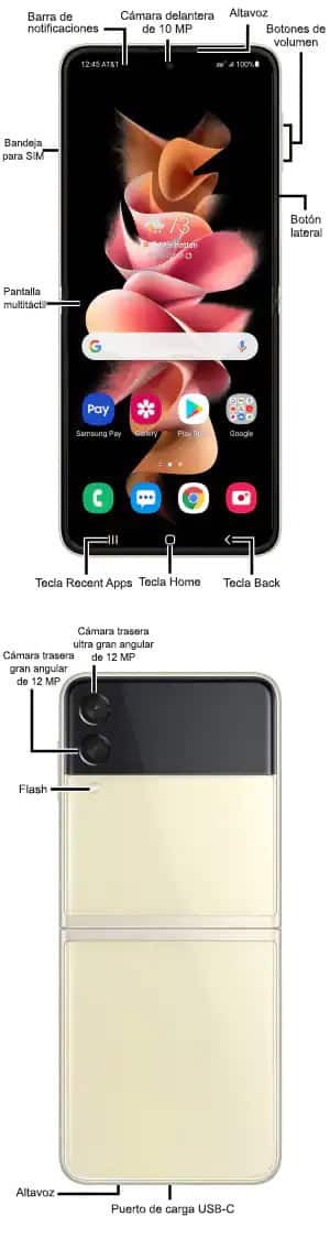 Diagrama del dispositivo