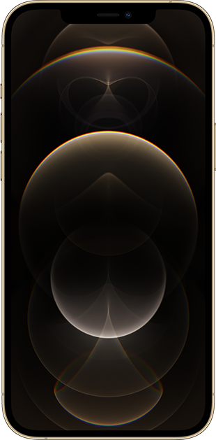 Apple iPhone 12 Pro Max