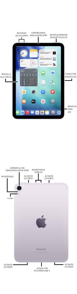 Diagrama del dispositivo