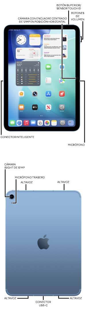 Diagrama del dispositivo
